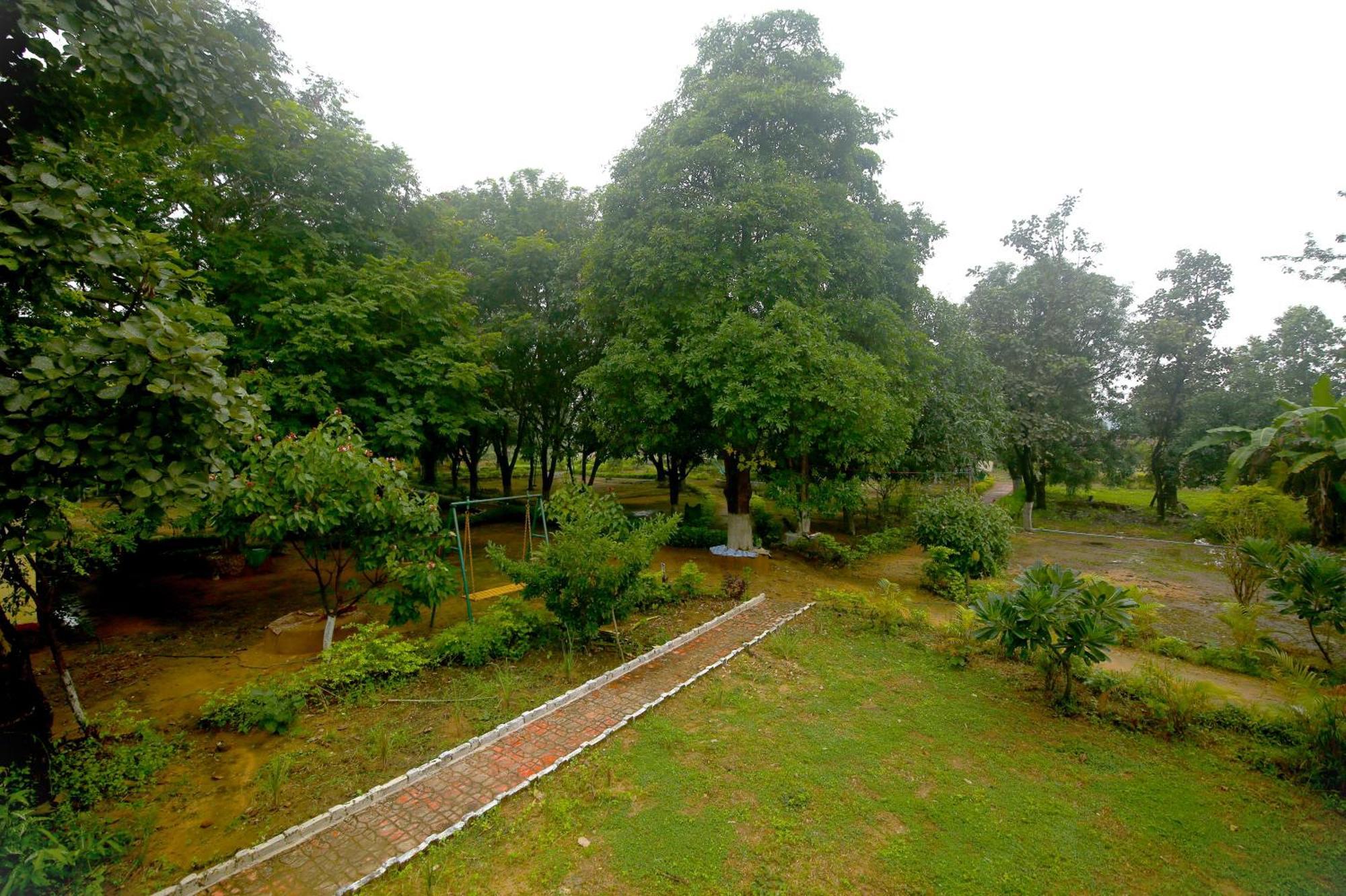 Tribal Wood Resort Dhanwār المظهر الخارجي الصورة